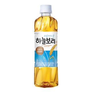 웅진 하늘보리 500ml, 1개