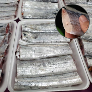 목포 갈치 손질 먹갈치 10마리 1kg 국내산 수산물, 100g, 10개, 목포먹갈치 10마리