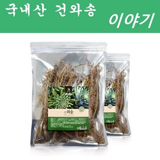 해피스토어70 국내산 건와송 (말린 와송), 4개, 100g