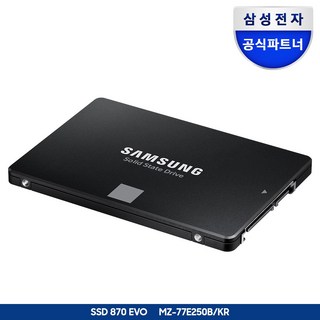 삼성전자 870 EVO 500GB