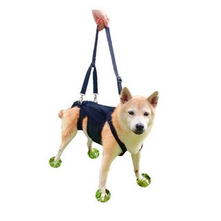 강아지 척추 보조기 펫 벨트 재활 노견, 블랙허리보호대+스트랩XXS, 1개