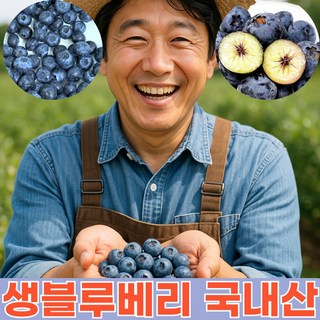 생블루베리 국산 생 블루베리 1kg 유기농 대과 무농약 국내산 고당도 새벽경매 제주, 1개, 국내산 생블루베리(100g x 6팩)