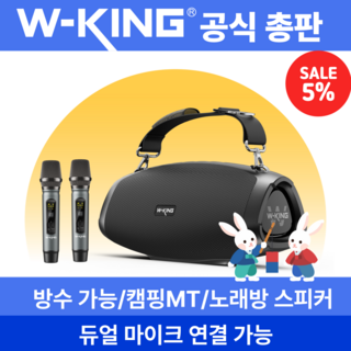 W-KING MT Box D10x2대