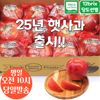 [오전8시 주문건 당일발송] 12브릭스 당도선별 세척사과 2kg (11~13입 소과), 1개