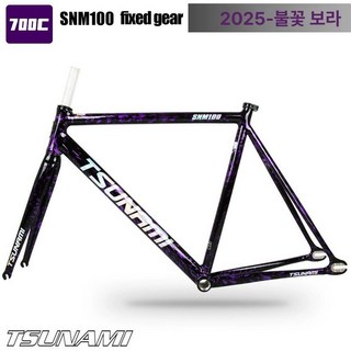 쓰나미 프레임 SNM100 픽시