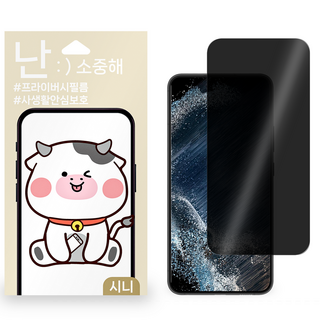 갤럭시 핸드폰 사생활보호 필름, 2개입