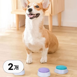 강아지 녹음벨 사용 모습