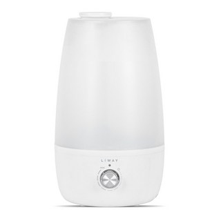 리웨이 통세척 대용량 가습기 4L, LWS-9940DP