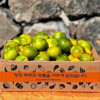 자연의정 제주도 귤 산지직송 제주감귤, 1개, 10kg(대과2L)