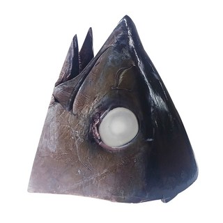 튜나바이브 눈다랑어 머리 대 냉동참치 신선 참치회 홈마카세, 1개, 10kg