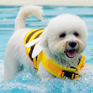 리치독스 강아지 꿀벌 구명조끼, 혼합색상, 1개