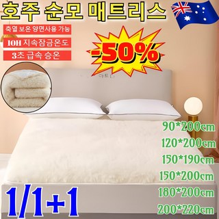 호주양모카페트