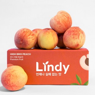 복숭아 백도
