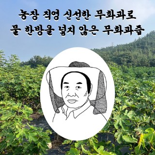 [육교농장] 영암 무화과즙 첨가물 없이 무화과 100%, 20개, 100ml