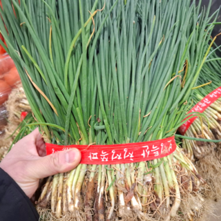 국내산 노지 흙 쪽파 1단 1.5kg내외, 1.5kg, 1개