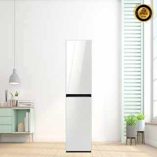 삼성전자 BESPOKE 에어드레서 대용량 DF10B9500ES