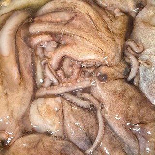 냉동 낙지 활낙지 도매 손질 탕탕이 절단 낚지 급냉 신선한, 1개, 1kg