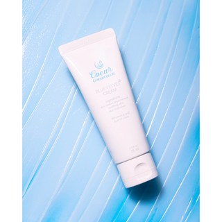 쿠르 블루 벨벳 크림 사용 모습