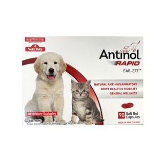 안티놀 래피드 관절영양제 90캡슐, 90정, 뼈/관절강화, 1개