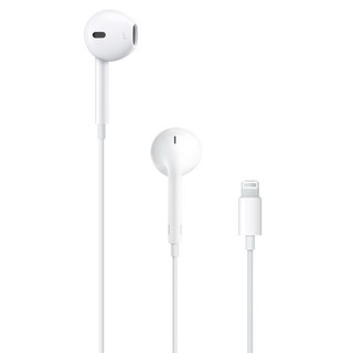 Apple 이어팟 사용 모습