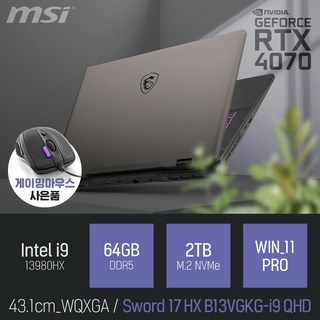 MSI 소드 17 HX B13VGKG-i9 QHD [게이밍마우스 & 패드 증정], WIN11 Pro, 64GB, 2TB, 블랙