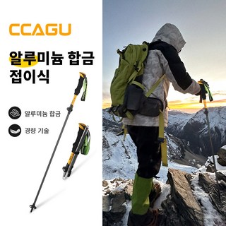 1. CCAGU 5단..