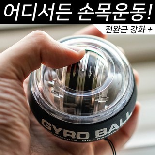 헬스몬 자이로볼 전완근 손목 운동 기구 (하드케이스 포함), 1개