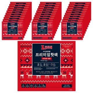 아이따뜻해 프리미엄 핫팩 포켓용 대형, 30개