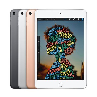 A급중고 애플 아이패드 미니 5세대 7.9형, 64GB, 스페이스그레이