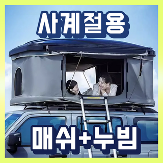 베아크 루프탑텐트