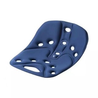 Backjoy 요추방석