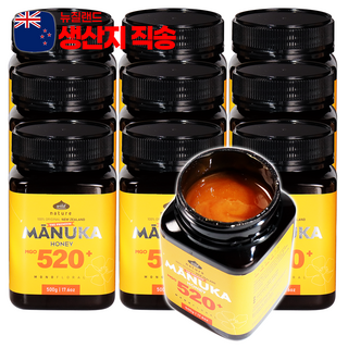 와일드네이처 마누카꿀 MGO 520+ UMF15+ 동일수치, 10개, 500g