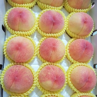 [우연팜] 산지직송 달콤한 경북 청도 털복숭아, 1박스, (털복숭아 중과) 1.5kg