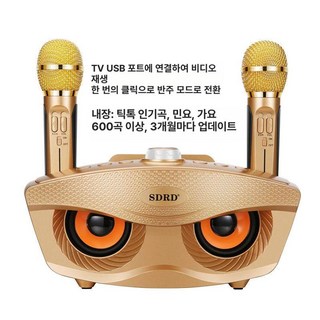 블루투스 마이크 노래방 가정용 노래방기계 앰프 무선노래방마이크 블루투스노래방마이크 무선블루투스마이크 무선핀마이크 무선마이크, 골드 표준판 B, 기본 모델명/품번