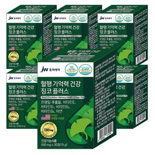 JW중외제약 징코플러스 식약처 인증, 30정, 6개