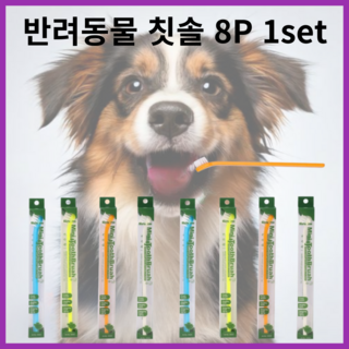 디자르토 반려동물 치석제거 칫솔 강아지 고양이 미세모, 2세트, 4색