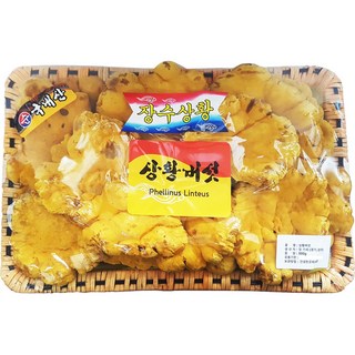 국내산 최상급 상황버섯 500g