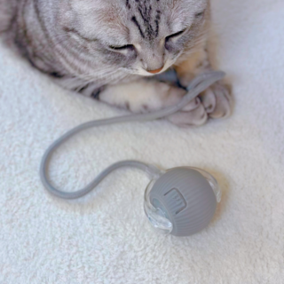 마아 고양이 혼자노는 자동 장난감 스마트 볼 장난감 로프 SCB-01 1개 그레이 상품 이미지