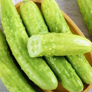 [저칼로리] 수분 가득 아삭한 백오이, 1박스, 1kg