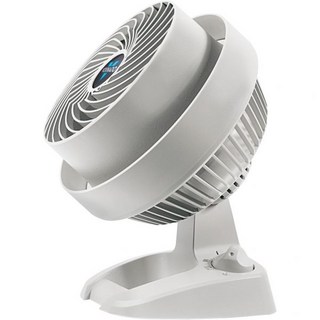 보르나도 530 컴팩트 온룸 팬 사용 모습