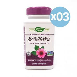 Nature's Way 네이처스 웨이 에키네시아 골든실 180캡슐 3팩 Echinacea Goldenseal, 3개, 180정