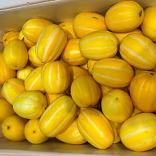 성주참외100% 못난이 산지직송, 1박스, 10kg