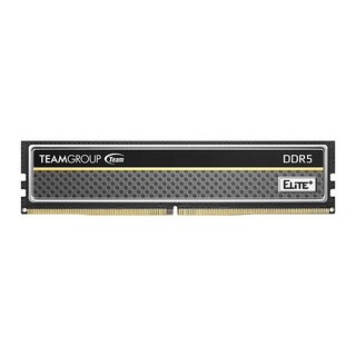 [Team Group] 팀그룹 DDR5 PC5-44800 CL46 Elite Plus 블랙 아인스 [8GB] (5600), 1개