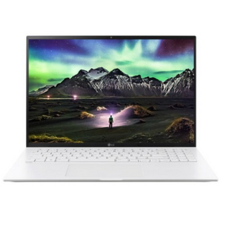LG 그램16 16Z95P-GAF6K