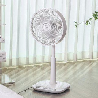 5. [정숙한 직진바..