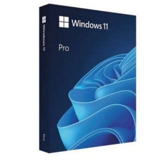 마이크로소프트 윈도우 11 Pro 처음사용자용 한글 패키지 FPP (USB 포함/공식 국내 유통 정품)