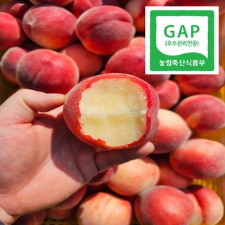 [GAP인증] 하우스 당일수확 고당도 프리미엄 대극천 반납작복숭아(5-8과), 1박스, 1kg
