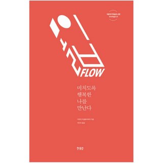 3. 몰입 FLOW ..