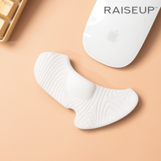 6. 레이즈업 STR..