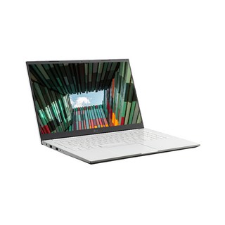 LG전자 2023 울트라 PC 15, 화이트, 256GB, 16GB, WIN11 Pro, 15UD40R-GX56K